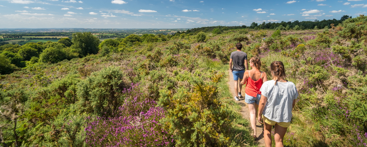 Landes de Locarn randonnee Emmanuel Berthier