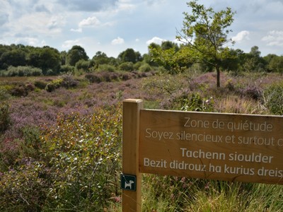 Les landes de Lan Bern - Réserve Naturelle