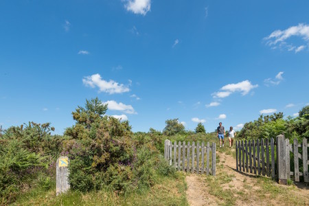 Les landes de Locarn