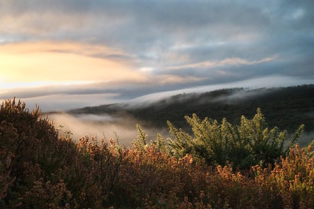 La vallée du Daoulas