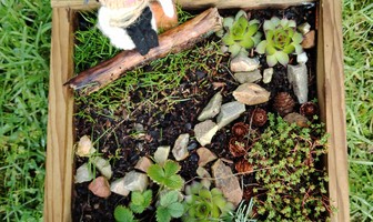 Les Z&#039;ateliers famille : Carré de jardin