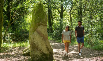 Les landes de Locarn