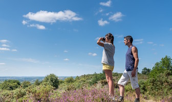 Les landes de Locarn