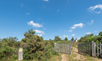 Les landes de Locarn