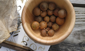 Les Z&#039;ateliers famille : Les recettes du copiste