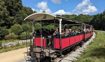 Le Train du Marché