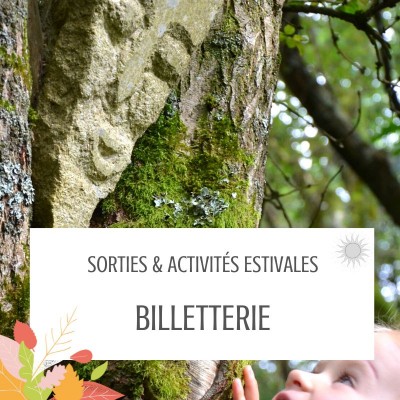 Billetterie ligne