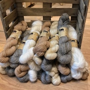 la petite filature bretonne c