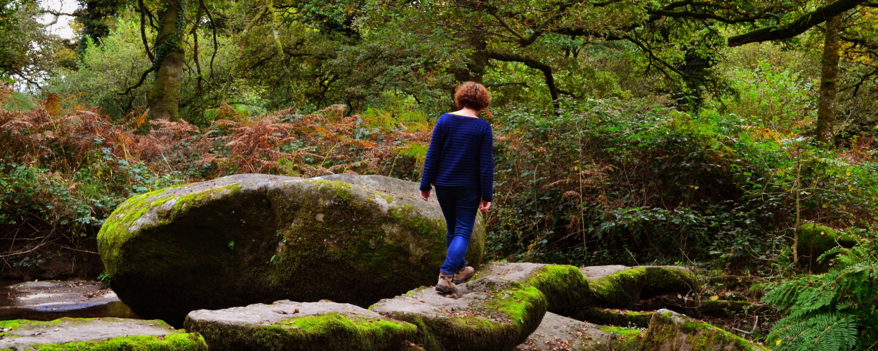 dore plouguernevel automne23laurieledortz