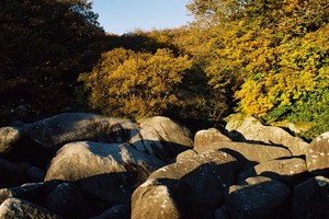 Site naturel des Landes de Locarn