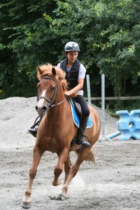 Poney-Club de Glomel