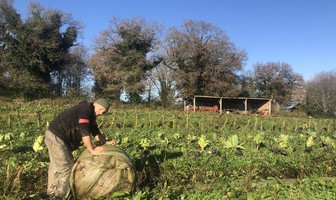 La ferme de la Cocadrille | D&amp;SF