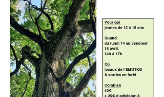 Stage d&#039;écriture avec Ronan Mancec
