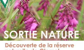 Découverte de la Réserve Naturelle de Glomel