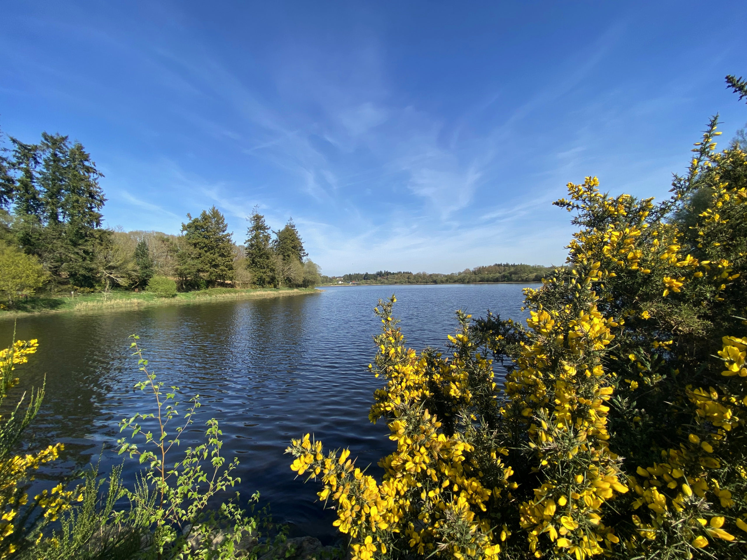 Etang Glomel