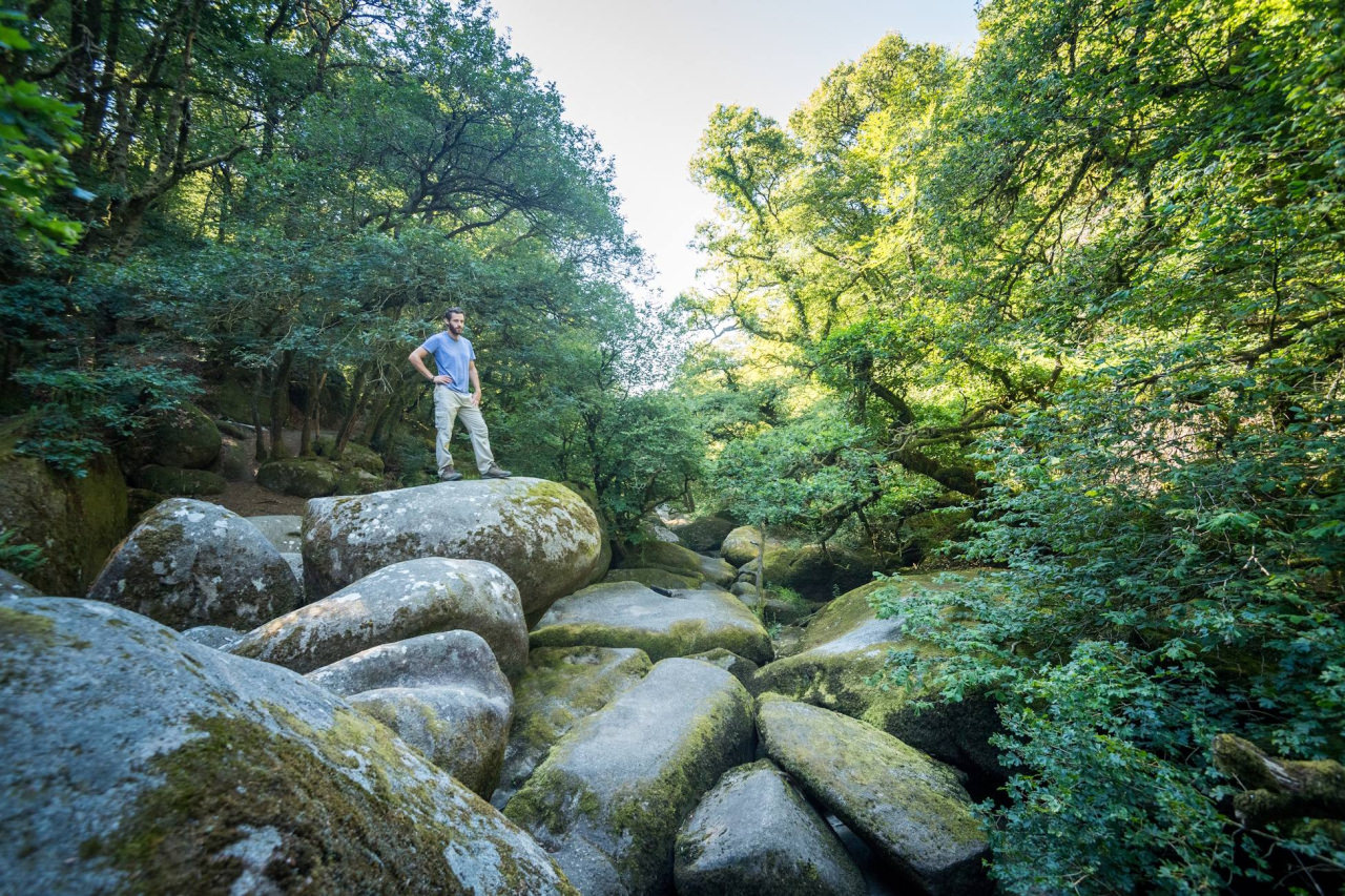 Gorges de Toul Goulic, Lanrivain, Bretagne