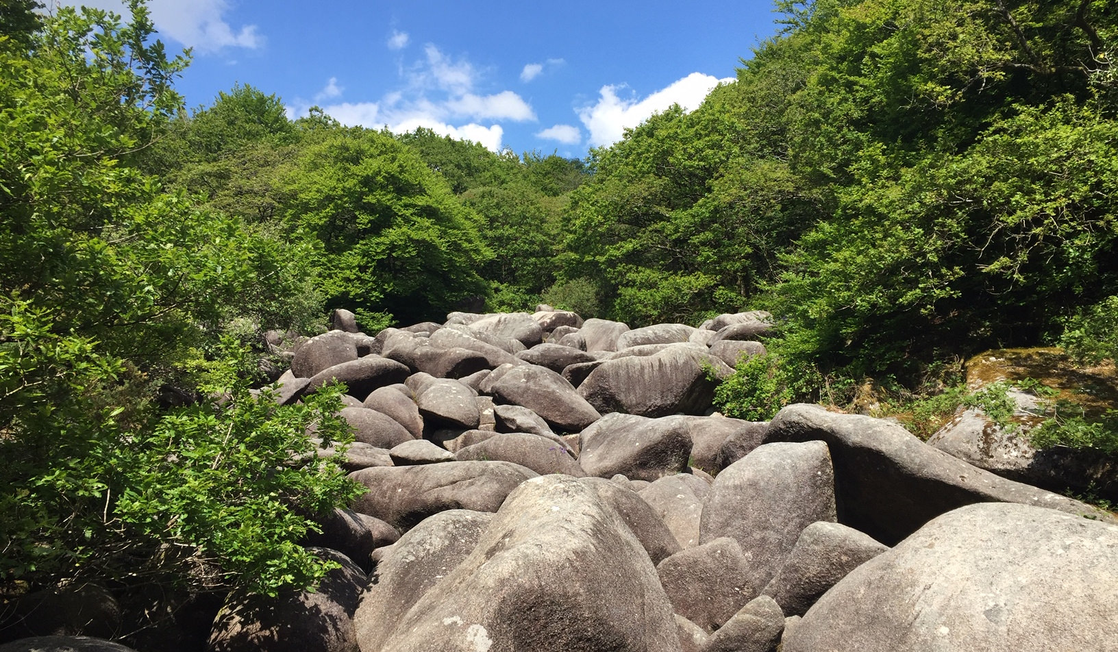 Landes de Locarn -Gorges du Corong