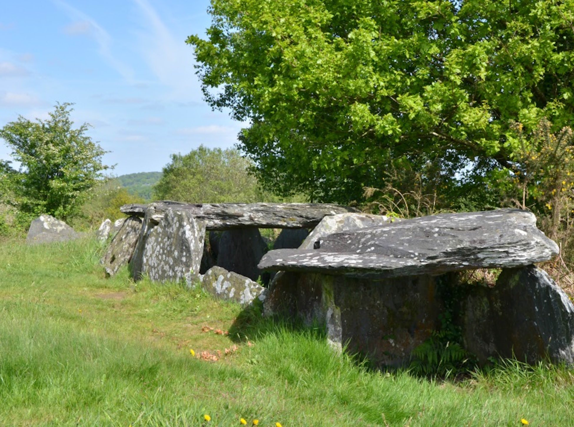 Allées couvertes dans les landes de Liscuis, Bon Repos sur Blavet, Bretagne