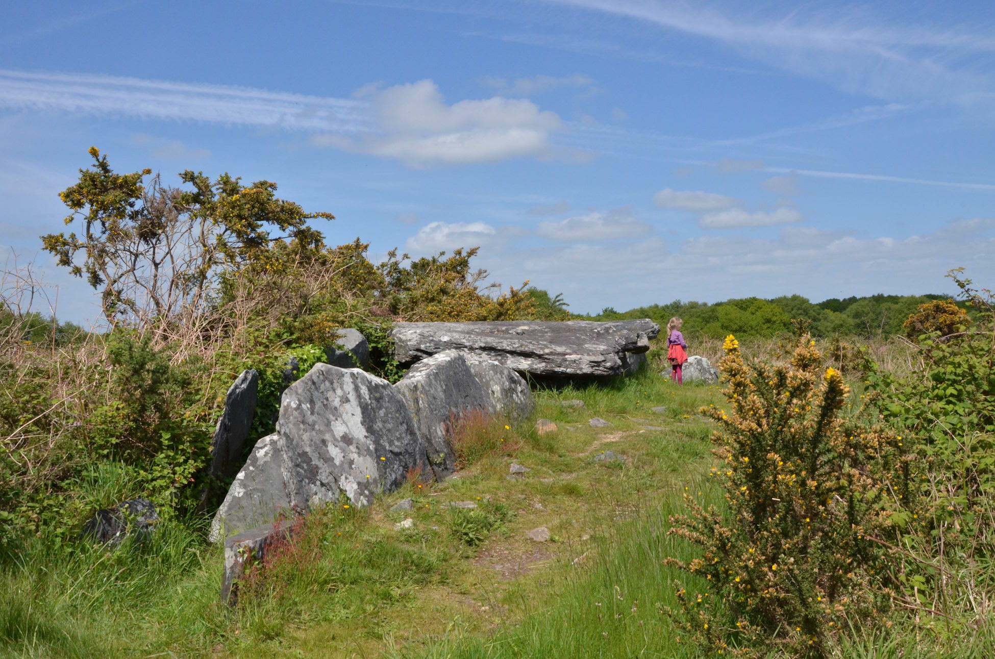 Allées couvertes dans les landes de Liscuis, Bon Repos sur Blavet, Bretagne