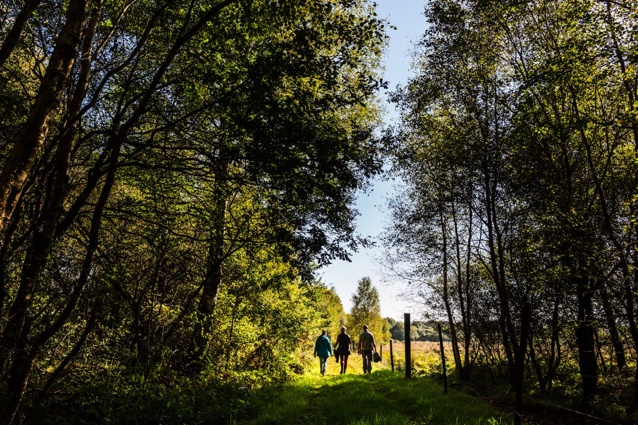 Landes de Lan Bern, chemin