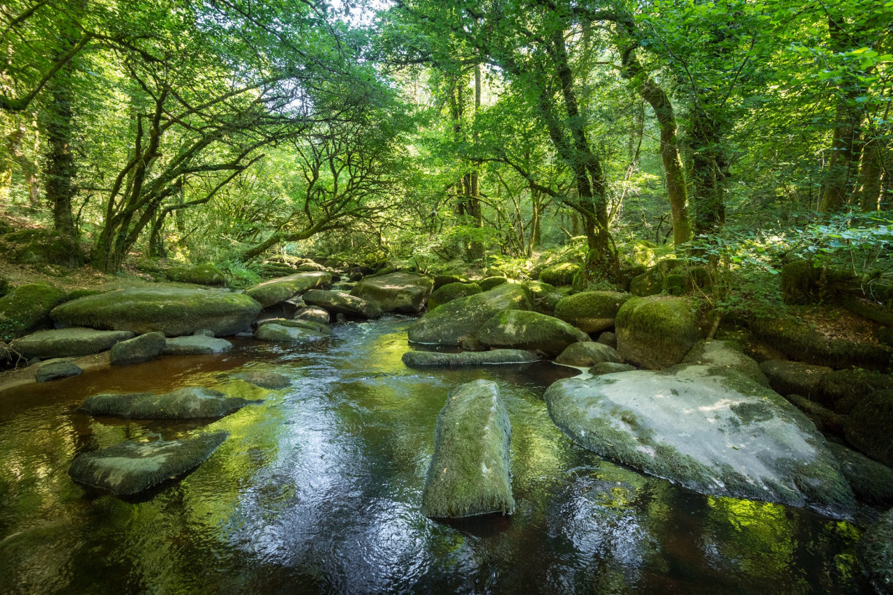 Les gorges de Toul Goulic