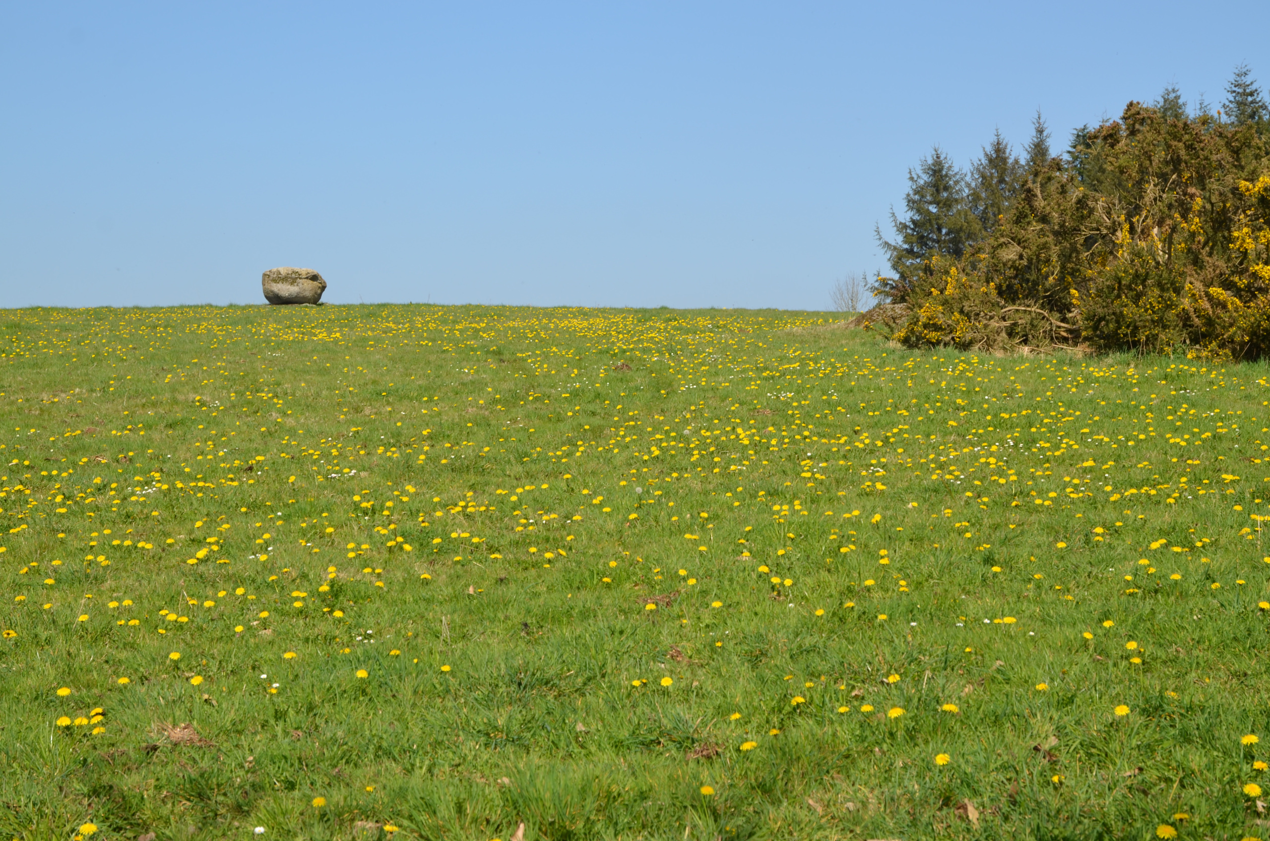 Le Rocleu, Peumerit-Quintin CP DHerve