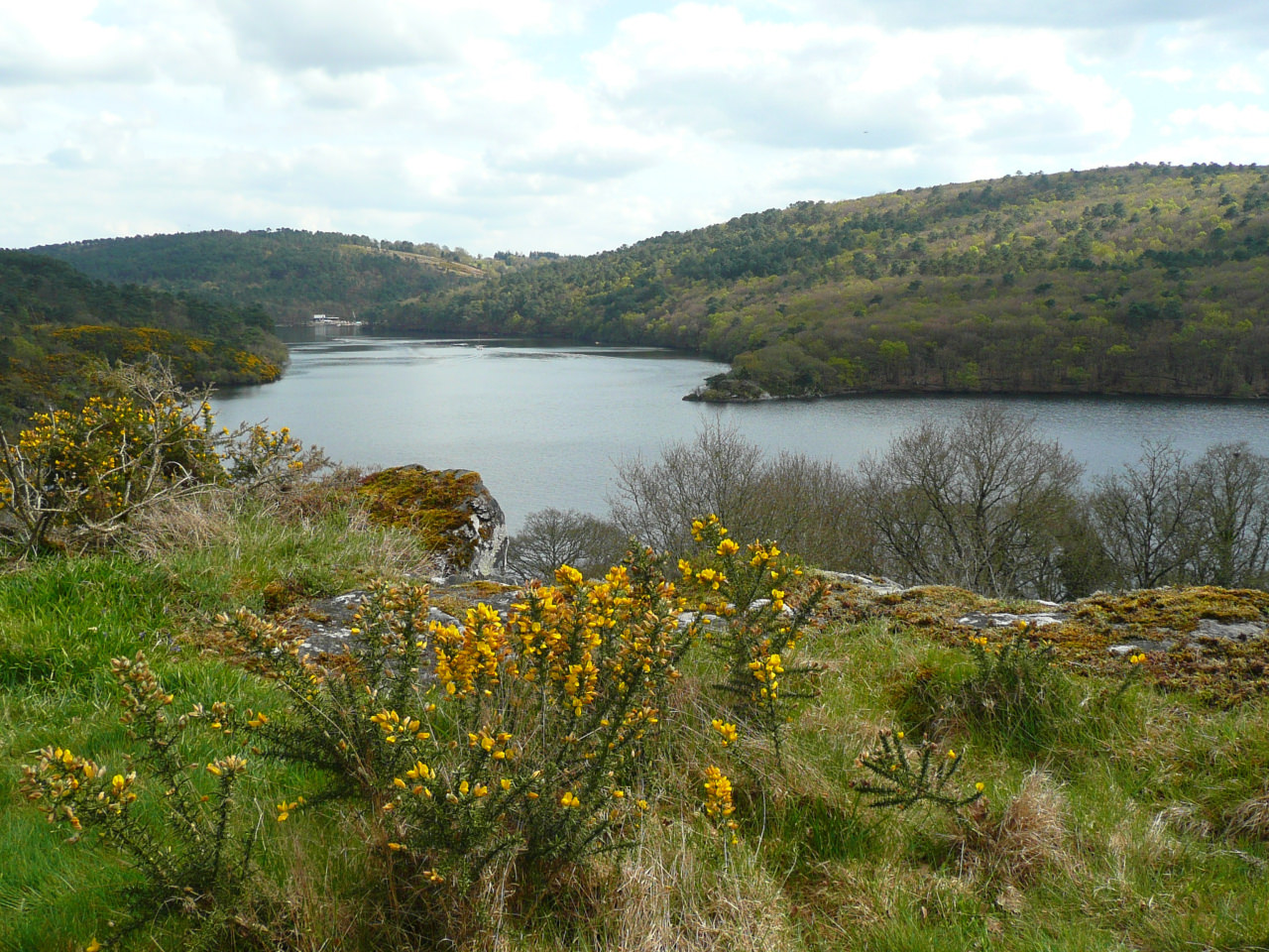 Tregnanton, Lac de Guerlédan Crédit Photo : Dominique Hervé