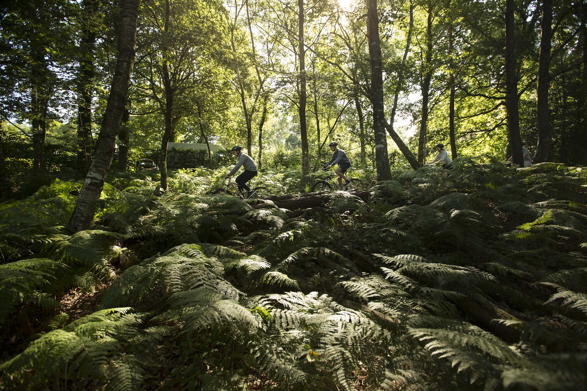 Amis sur le sentier du tour du lac de Guerlédan, à vélo et VTT, traversant la forêt. Crédit : Yannick Derennes