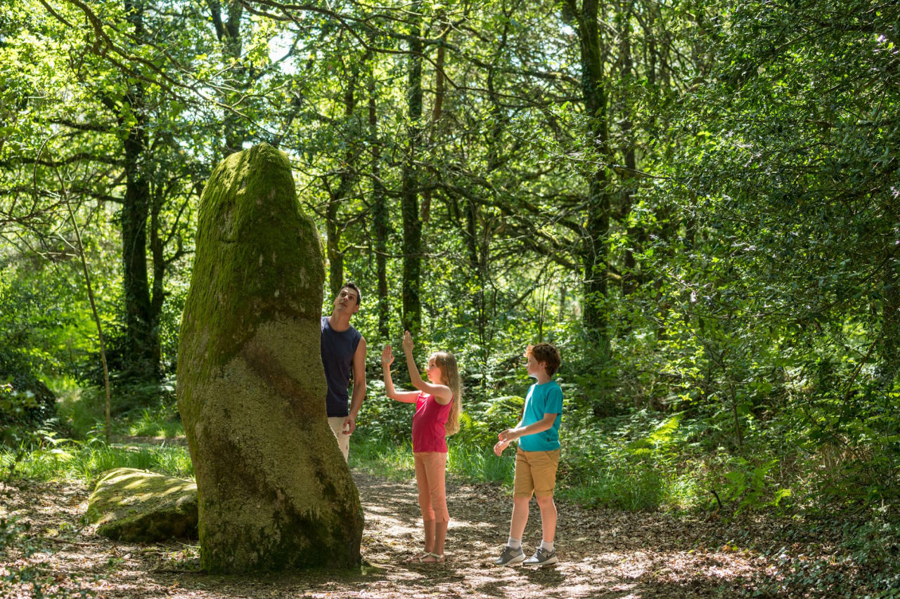 Landes de Locarn Visuel