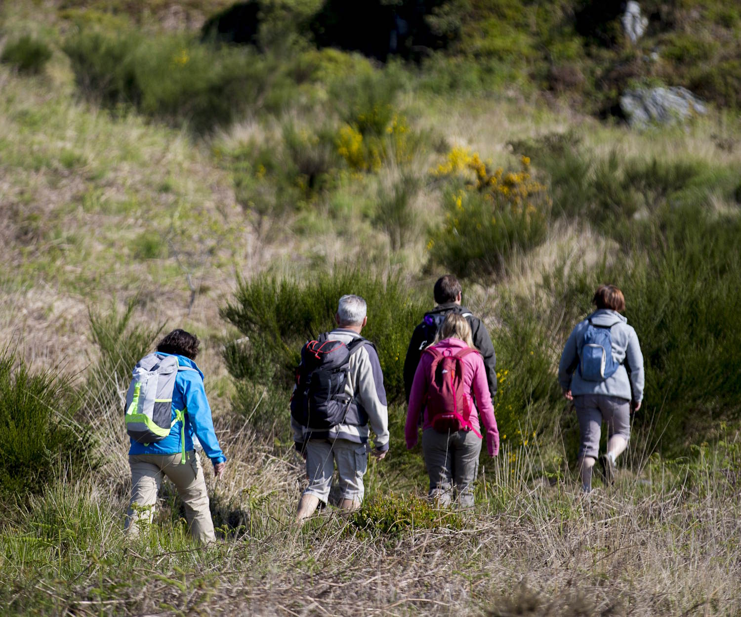 groupe d'adultes en randonnée en centre bretagne, dans un paysage de landes, en Bretagne. Crédit Yannick DERENNES
