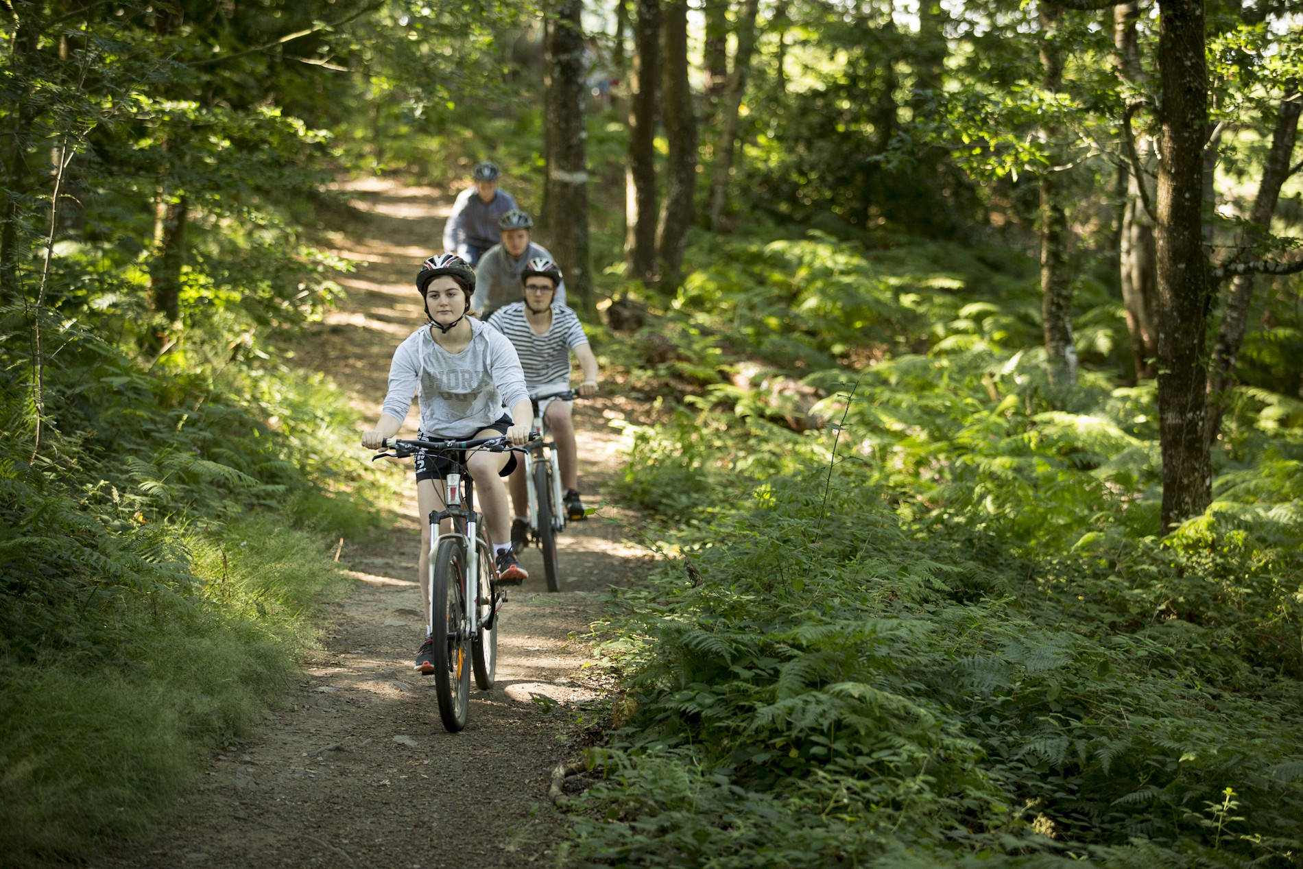 Amis sur le sentier du tour du lac de Guerlédan, à vélo et VTT, traversant la forêt. Crédit : Yannick Derennes
