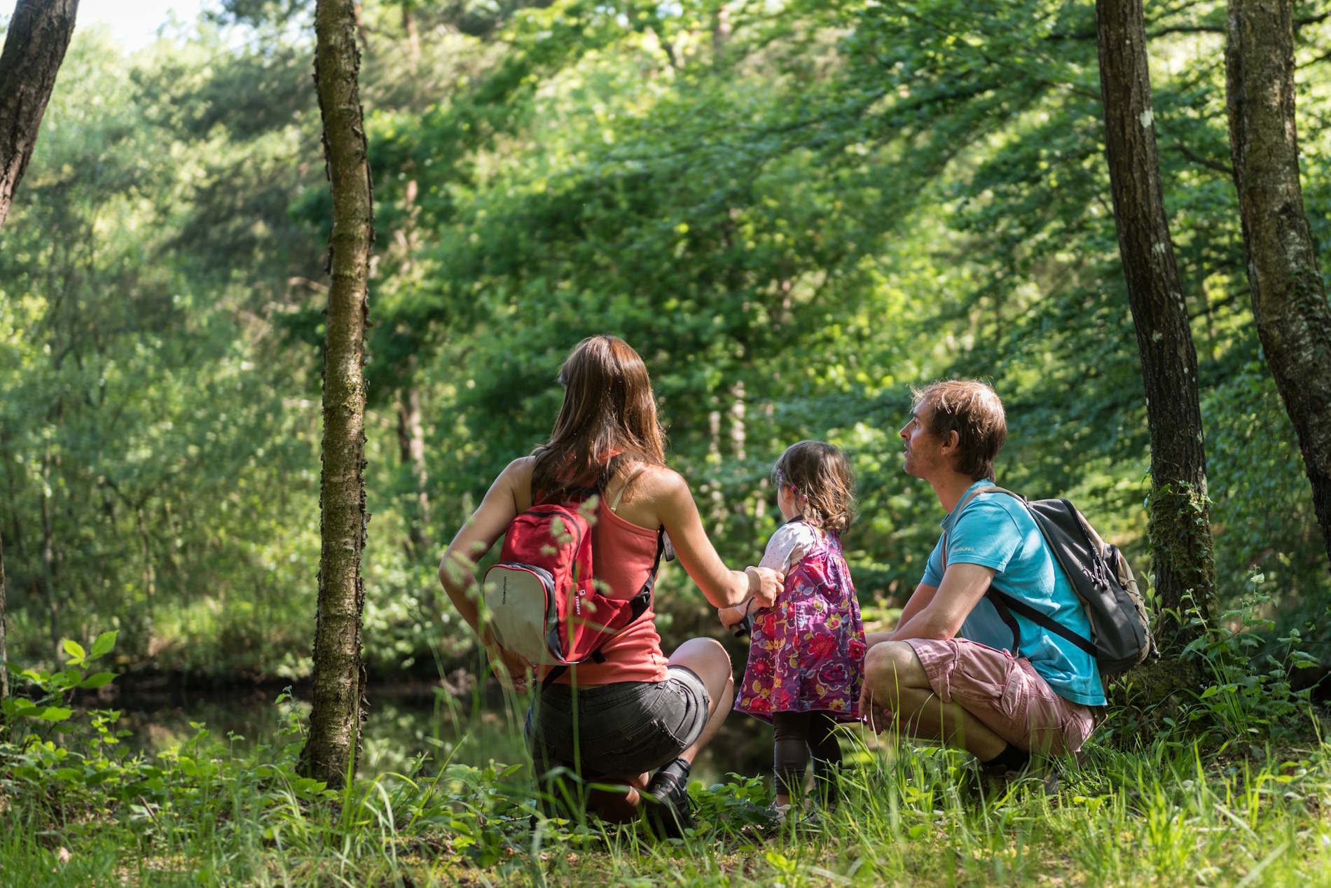 Famille avec enfant, observant la nature, dans une forêt de Bretagne. Crédit : Emmanuel BERTHIER