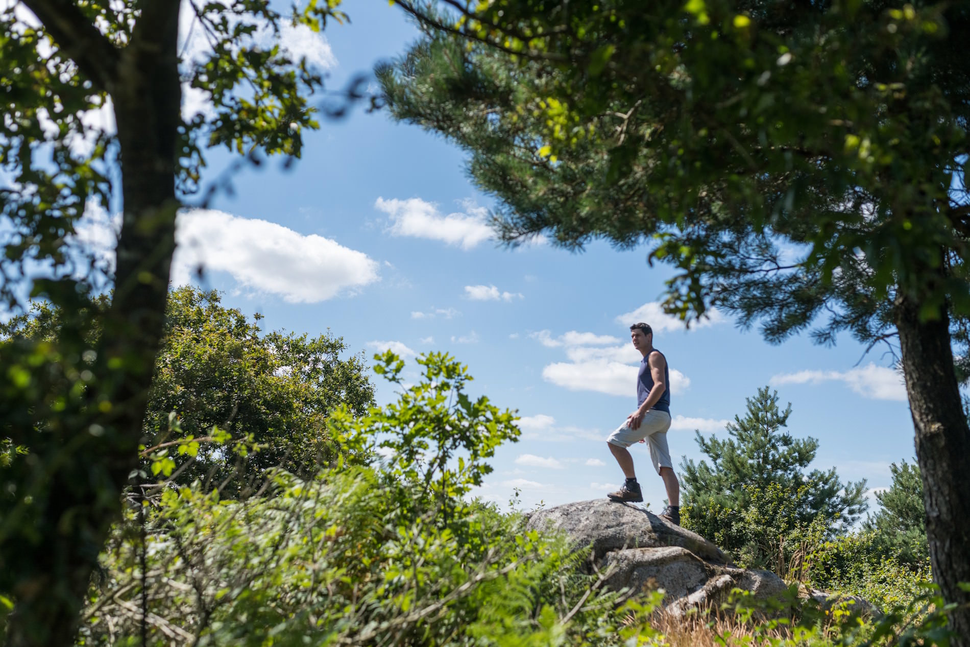 Vue sur les landes de Landes de Locarn. Crédit : Emmanuel Berthier