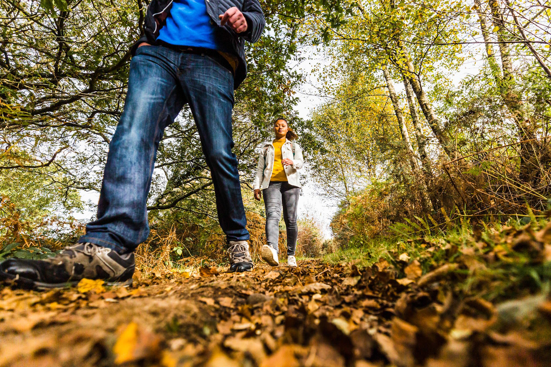 Sentier des landes de Locarn