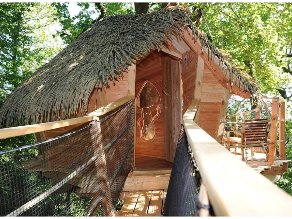Cabanes dans les arbres