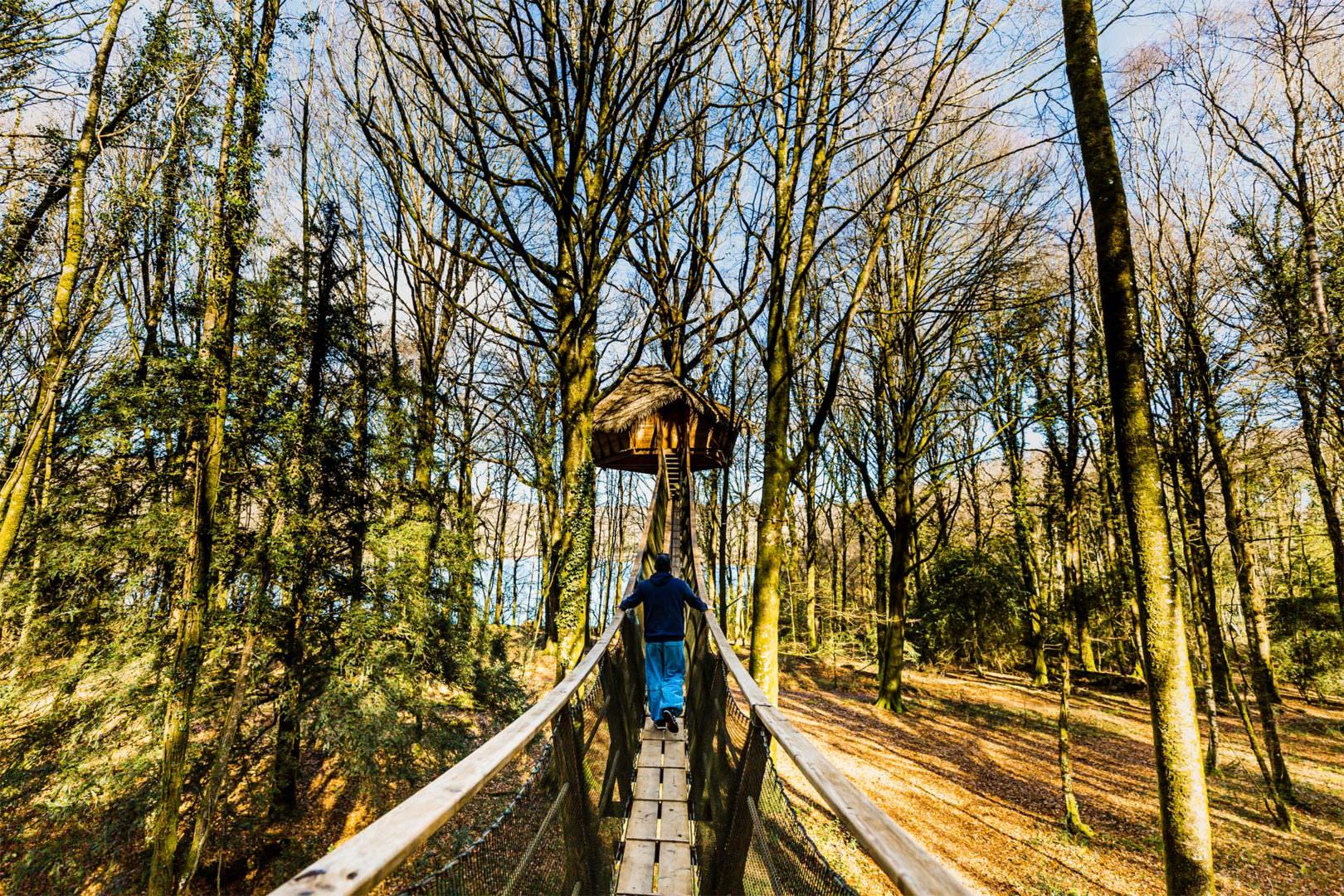 Cabane dans les arbres, dans la forêt de Quénécan, Bon-Repos sur Blavet, Lac de Guerlédan
