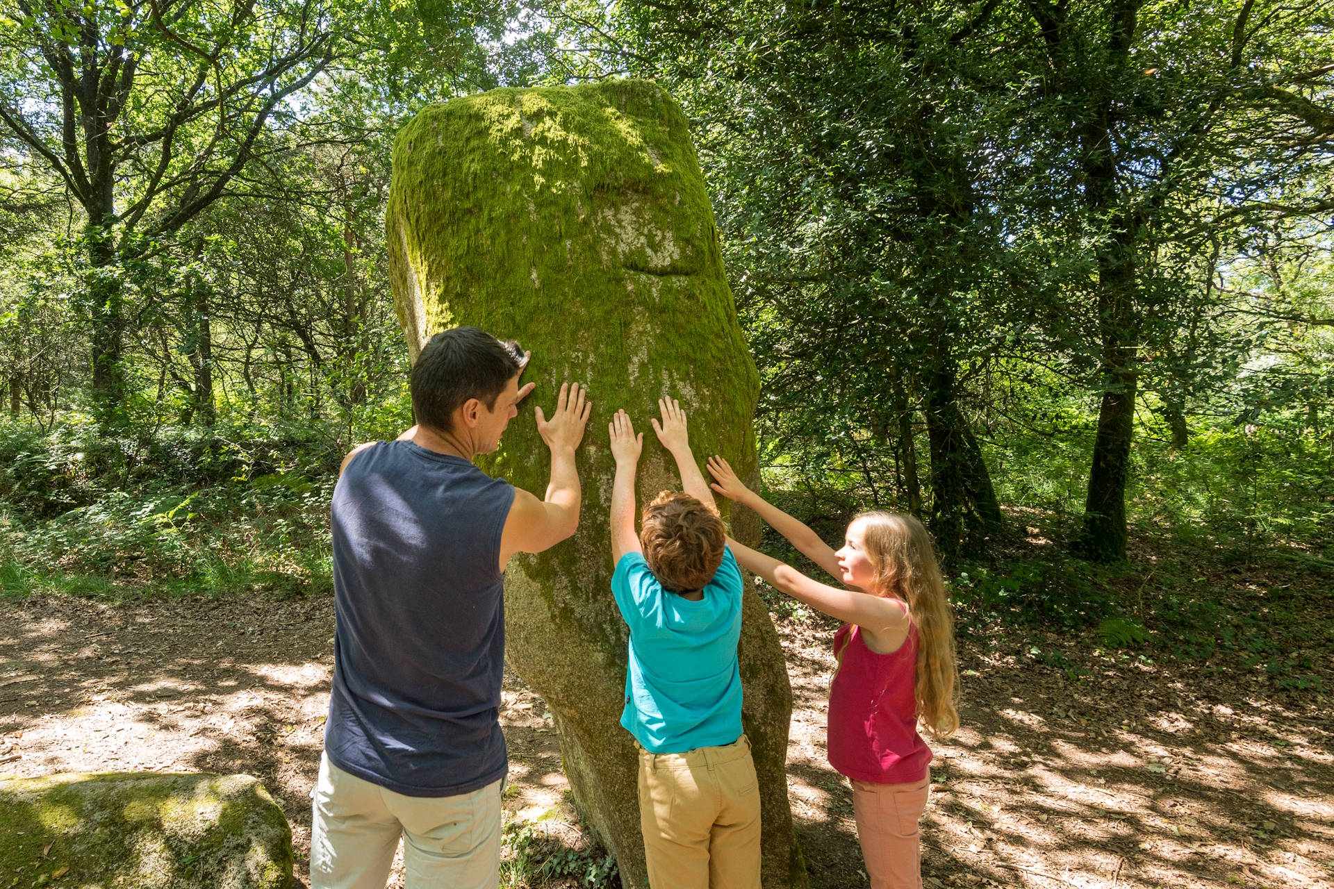 Landes de Locarn Visuel