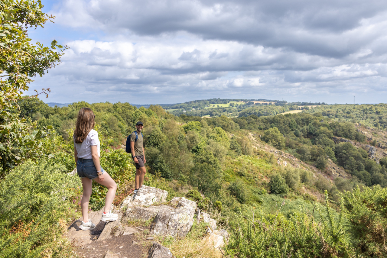 Vue sur la forêt de Quénécan, depuis les landes de Liscuis